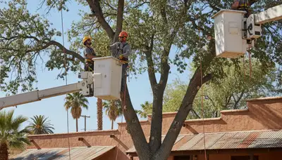 Tree service crew providing professional tree trimming in Las Vegas, NV