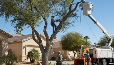 Tree service crew in Las Vegas, NV trimming and removing trees for residential properties